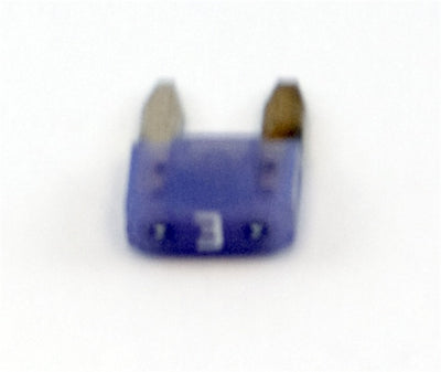 17255_06.jpg