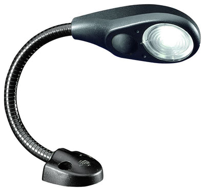 343720022_MAIN.jpg