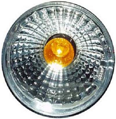 965039067_MAIN.jpg