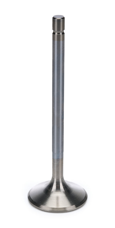 AFR7268-1.jpg