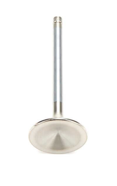AFR7553-1.jpg
