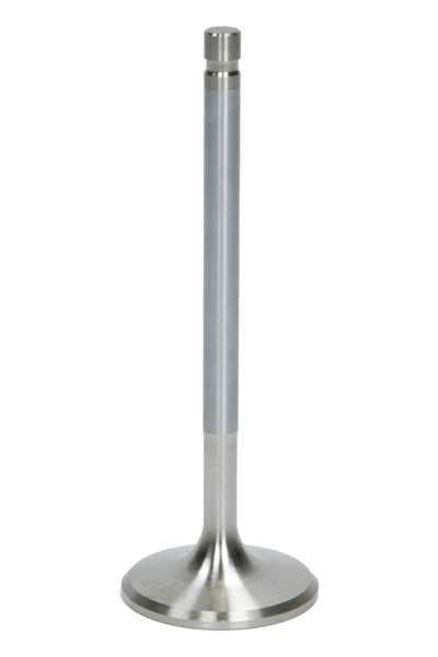 AFR7631-1.jpg