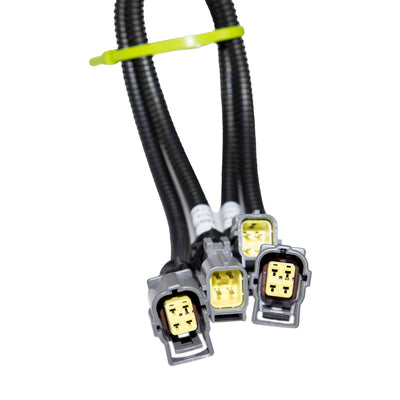 CAS-105094-2.jpg