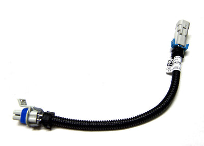 CAS-109004-1.jpg