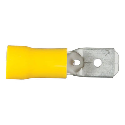 CUR-59433_01.jpg