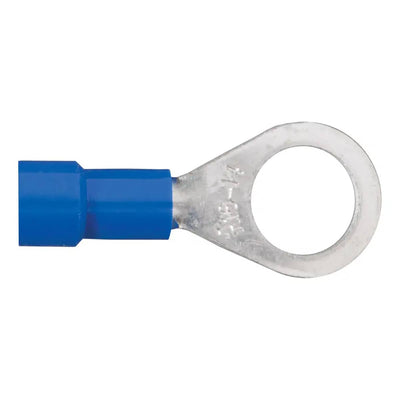 CUR-59525_01.jpg