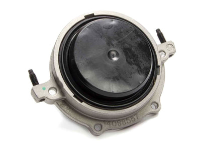 GMP12554312.jpg