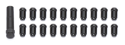 GORK5CS-00012BGR.jpg