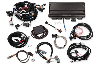 HLY550-928.jpg