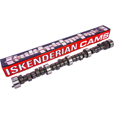 ISK396284294.jpg