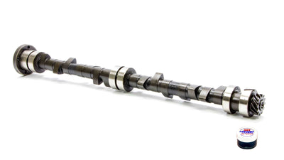 ISK817700.jpg