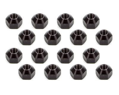 KLU8203.jpg