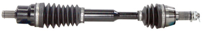 POL-304XP.jpg