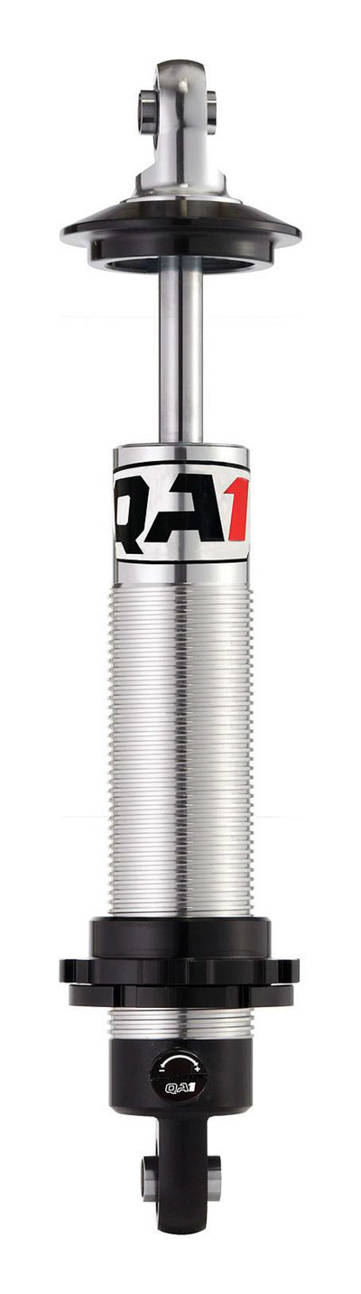 QA1DS701.jpg