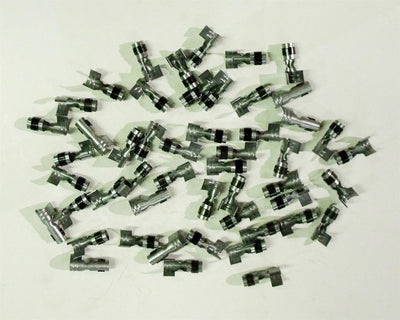 TAY44399.jpg