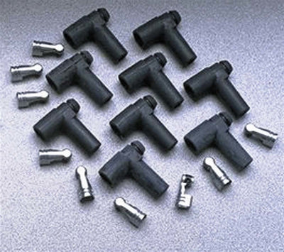 TAY46055.jpg