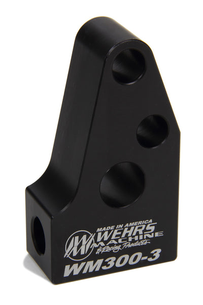 WEHWM300-3.jpg