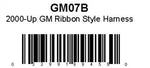 021GM07B.jpg