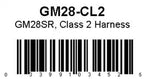 021GM28-CL2.jpg