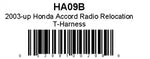 021HA09B.jpg