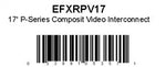 022EFXRPV17.jpg