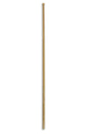 02462NOS_09.jpg