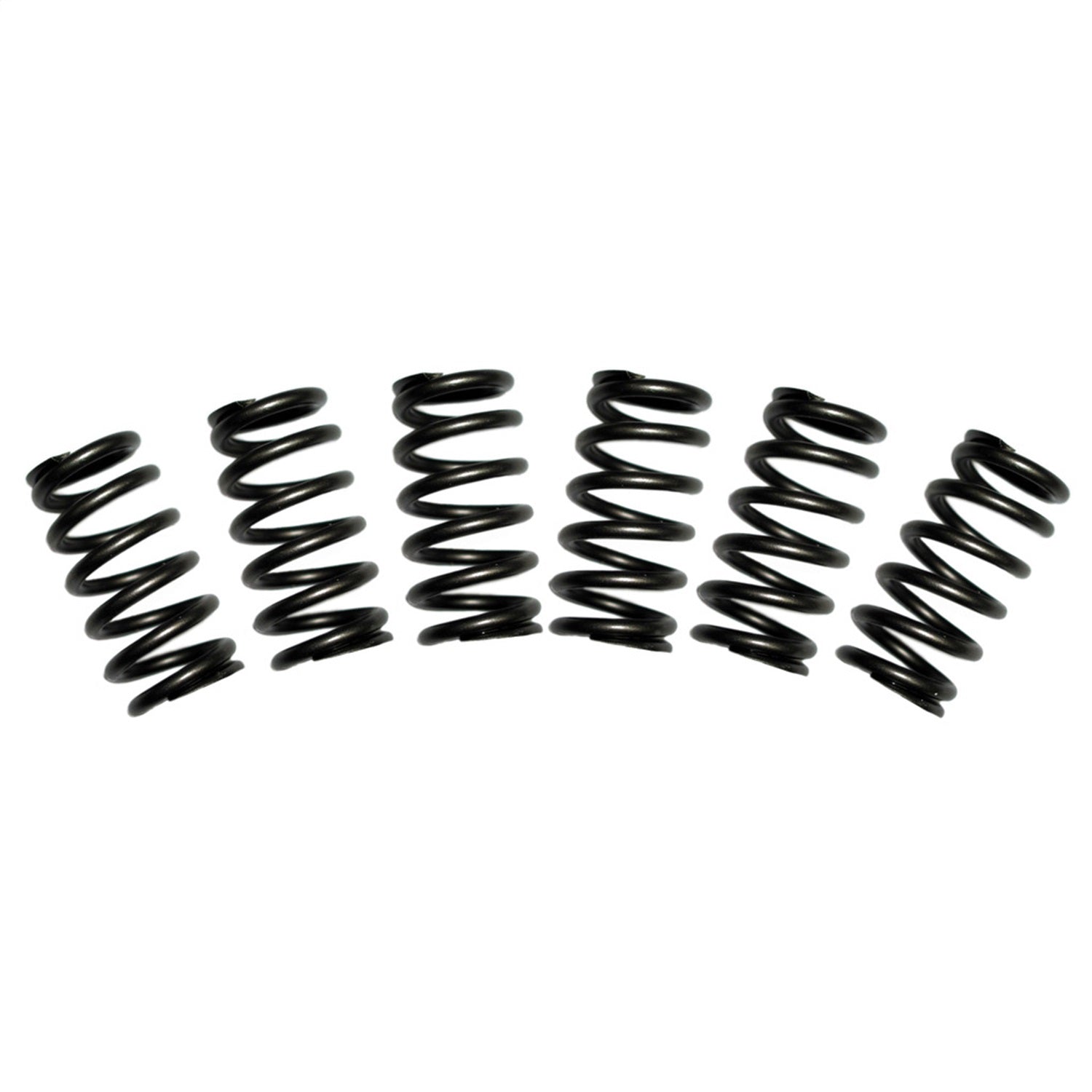 BD Diesel 1030060 Valve Spring Kit; #60; BD Diesel 1030060