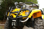 11031_01_alt2.jpg