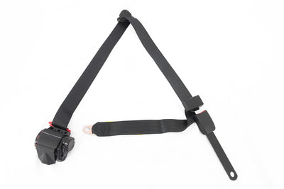 13202_14.jpg