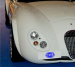 163336001_PT31.jpg