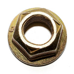 16584_04.jpg