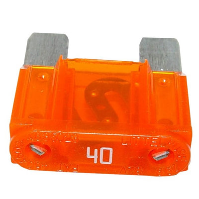17254_03.jpg