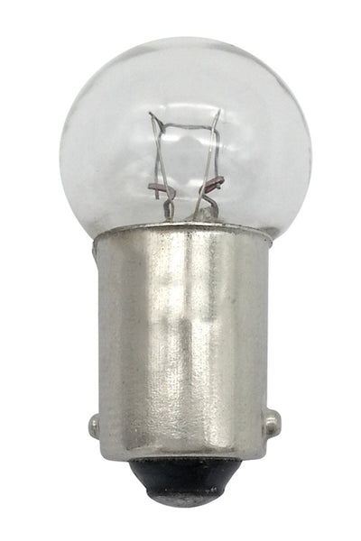1895_MAIN.jpg