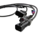 1bblharness_01.jpg