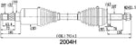 2004H-Drawing.jpg