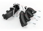 300-255blk_splitrenderwith2colorlines1987.jpg