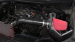 319850Db.jpg