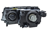 354204181_BACK.jpg