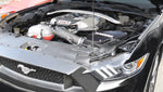 419950b.jpg