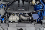 44006-MF_b_lowres.jpg