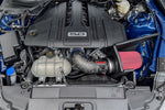 44006D-MF_b_lowres.jpg