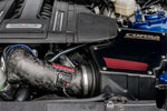 44007D-MF_b_lowres.jpg