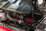44007D_b_lowres.jpg