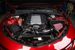 44018D_b.jpg