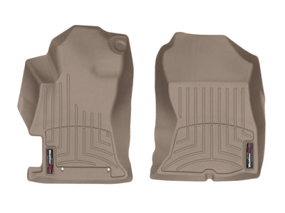 4511071.jpg