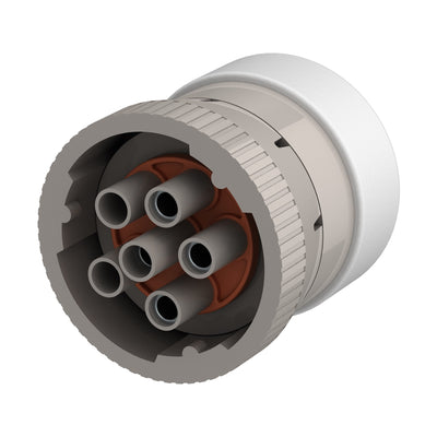 46500-6.jpg