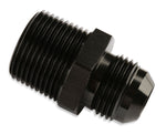 481609-bl_0118114.jpg