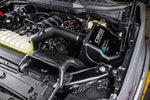 491506_b_lowres.jpg