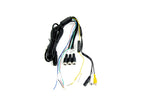 4_TRNS-3110-3.jpg