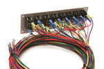 50003-Back.jpg